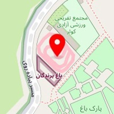 پیست کارتینگ هانی