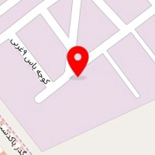 مستر کاکتوس