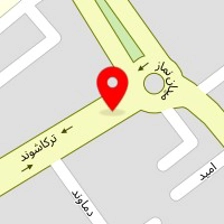 گالری السا