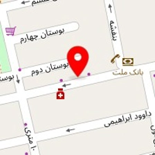 پرده سرای امیر