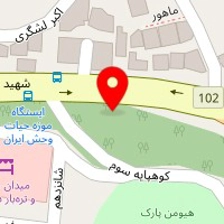 دکوراسیون داخلی نوین دکور