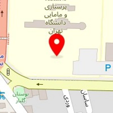 شرکت بنیادین سازه پویان