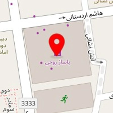 زبرا دوستی