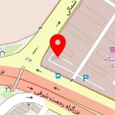 پرده سرای تنها