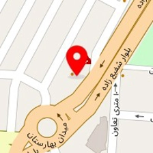 دکتر داود پورحسین
