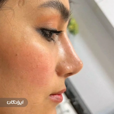 دکتر آنیتا بابادی