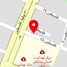 دکتر مهران بیرقی طوسی