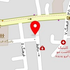 دکتر ولی اله حبیبی