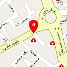دکتر سعید ابوالحسنی