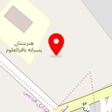 مصالح فروشی علوی