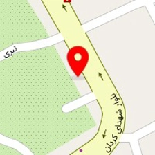 رنگ و ابزار نرگسی