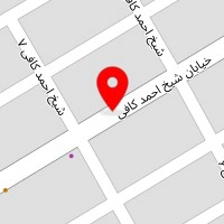 رنگ فروشی هنرمند