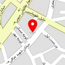 فروشگاه آسانسور ایلیا