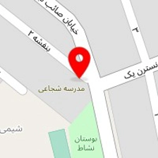 پلاسکو نارون