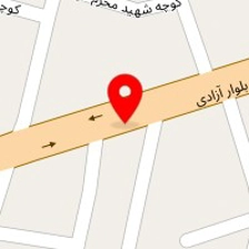 اتو رنگ نانو سرامیک شیرزاد نقاش
