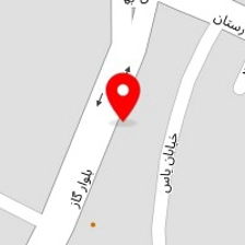فروشگاه اسباب بازی دیزنی