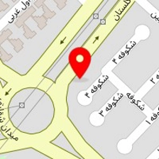 داروخانه شقایق