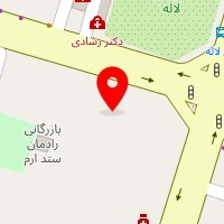 دکتر سعید ابوالحسنی