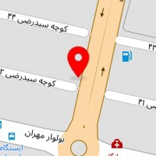 ترکیب رنگ اتومبیل امید