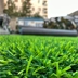 فروشگاه سرزمین چمن