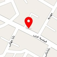 پویا کلید