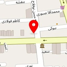 باتری سازی امیر