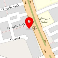 تنظیم موتور هادی پیروی