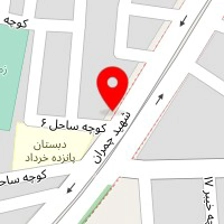 تنظیم موتور 110