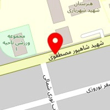 خدمات برق خودرو احمدی