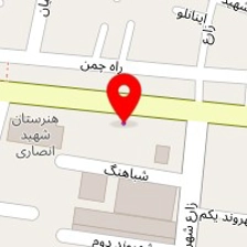 اتو سرویس محسن