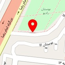 کاراکال تیونینگ کرمان