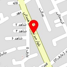 اتو سرویس نمونه