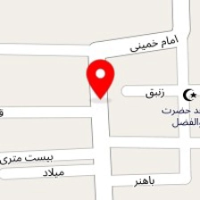 اتو سرویس محسن