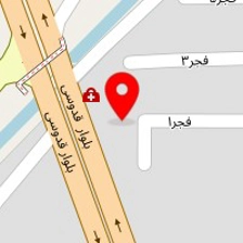 اتوسرویس ایرانیان