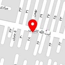 اتوسرویس تک