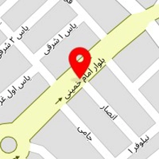 باتری سازی امیر
