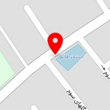 اتوسرویس چمنی