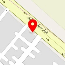 باطریسازی سلگی