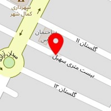 برق و انژکتور اتومبیل تهرانی
