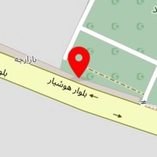تعمیرگاه تخصصی چیوا