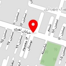 مجموعه خودرویی کرگدن سفید