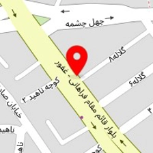 انژکتور و الکترونیک زیمنس