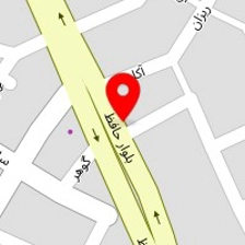 دزدگیر مجیکار