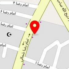 اگزوزسازی کبوتری