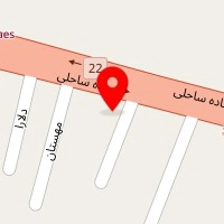 صافکاری و نقاشی برادران رسولی