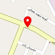 عاملیت سایپا یدک محب زاده کد16501