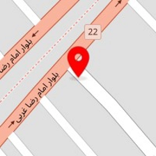 دیاگ و تنظیم موتور موفق