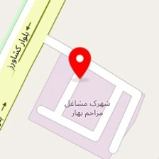 محسن زارعی