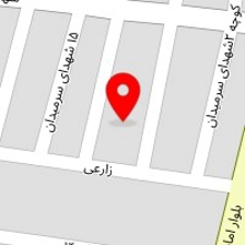 تنظیم موتوری برادران صابری