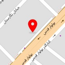خدمات ترمز حامد